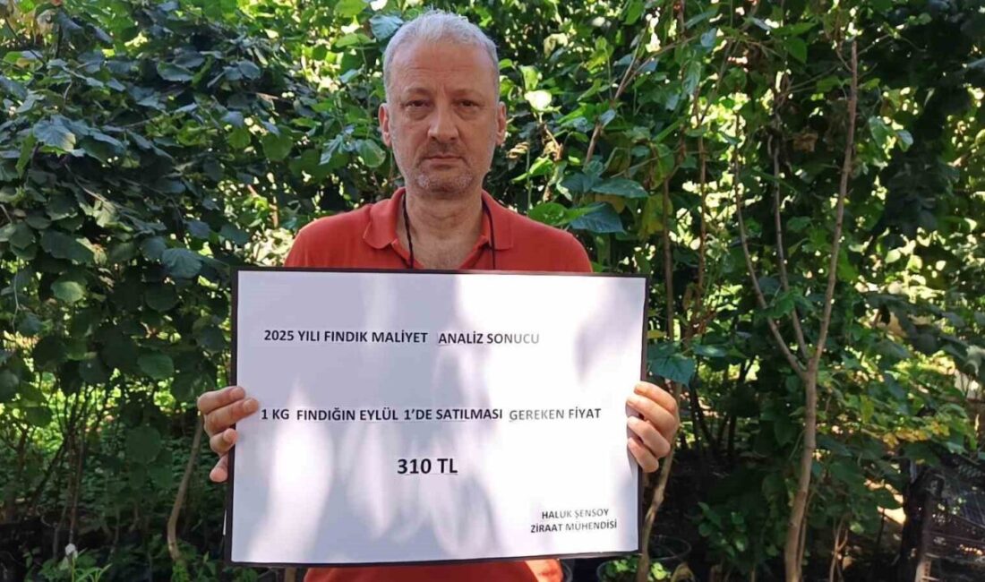 Ordulu Ziraat Mühendisi Haluk Şensoy, bir kilogram fındığın üreticiye maliyetini