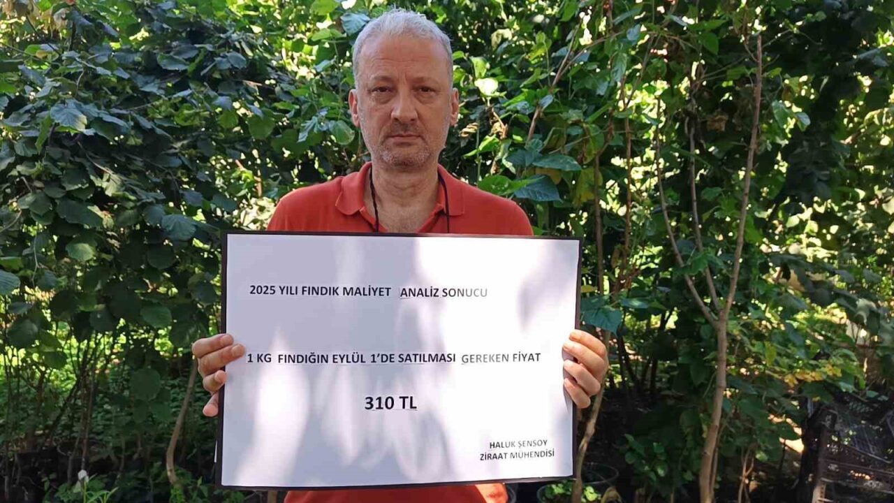 Ordulu Ziraat Mühendisi Haluk Şensoy, bir kilogram fındığın üreticiye maliyetini