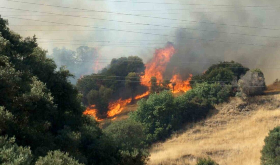 Aydın’ın Efeler ilçesinde zirai alanda başlayarak ormanlık alana sıçrayan yangına