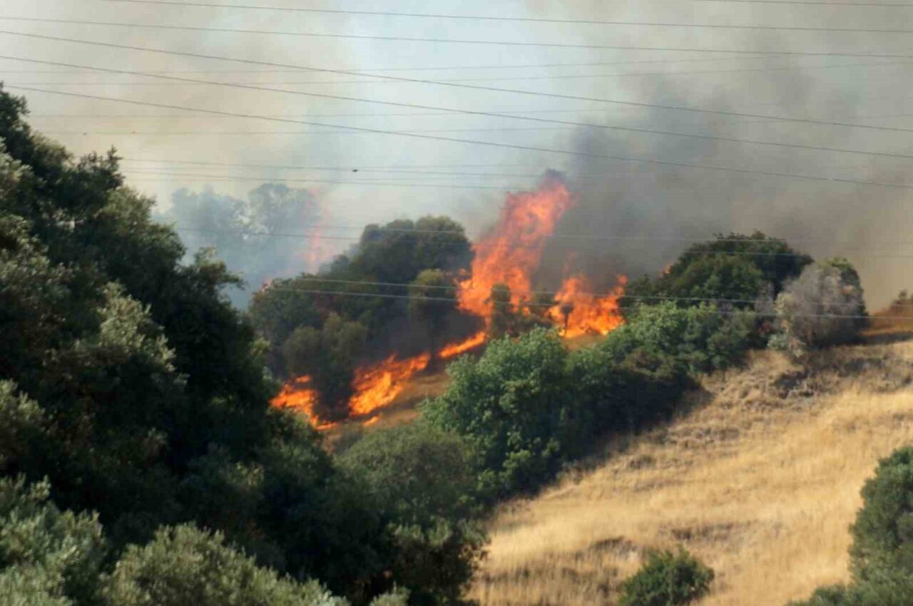 Aydın’ın Efeler ilçesinde zirai alanda başlayarak ormanlık alana sıçrayan yangına