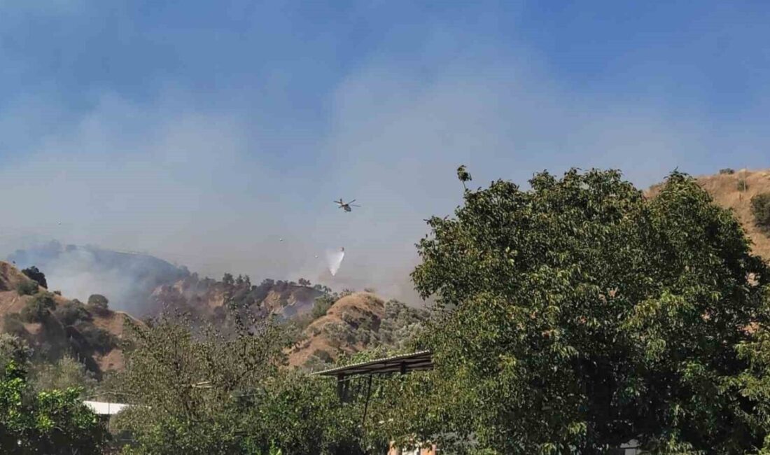 Aydın’ın Efeler ilçesinde zirai alanda meydana gelen yangını kontrol altına