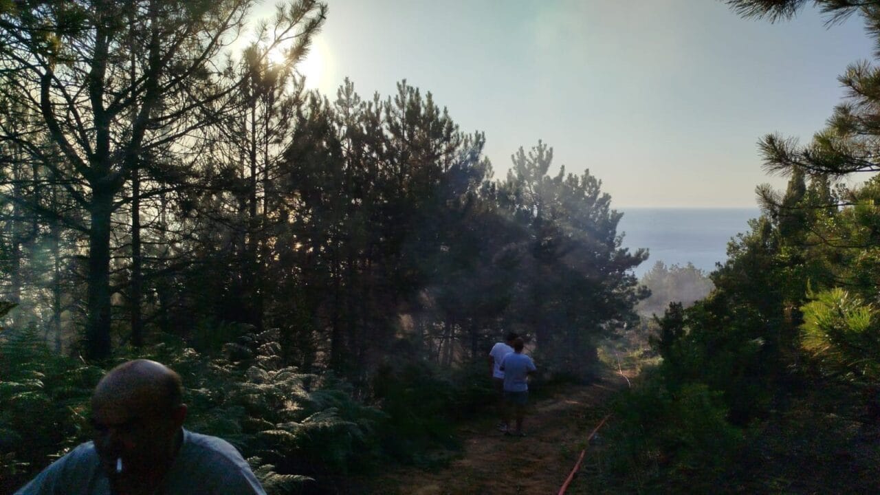 Zonguldak’ın Ereğli ilçesine bağlı Tepeören köyünde çıkan orman yangını, ekiplerin