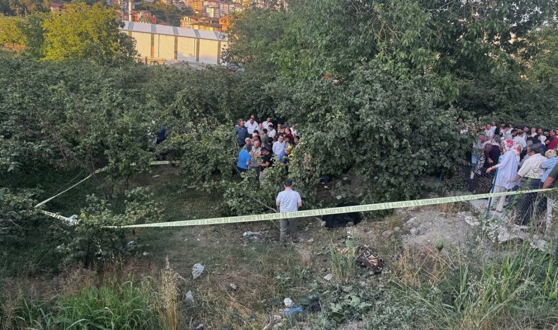 Zonguldak’ın Alaplı ilçesinde kupası çıkınca kontrolden çıkan kamyonet, fındık bahçesine