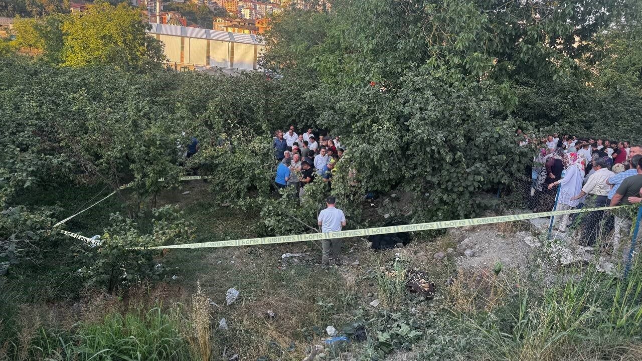 Zonguldak’ın Alaplı ilçesinde kupası çıkınca kontrolden çıkan kamyonet, fındık bahçesine