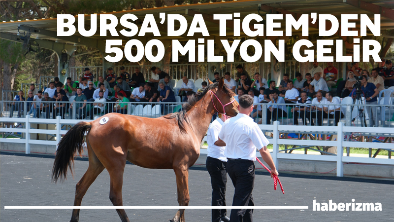 Tarım İşletmeleri Genel Müdürlüğü (TİGEM), tay satışları ve koşulardan gelen