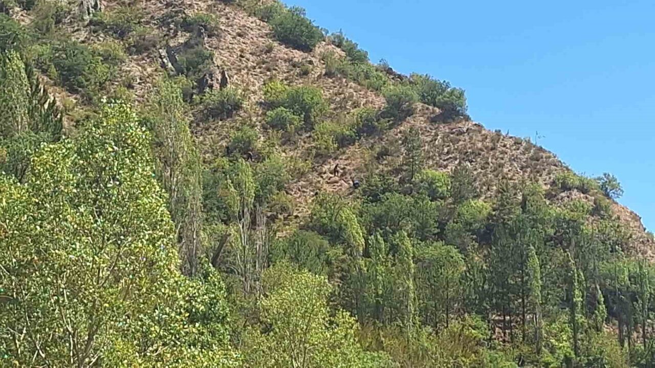 Çorum’un İskilip ilçesinde ekmek almak için evden ayrılan ve bir