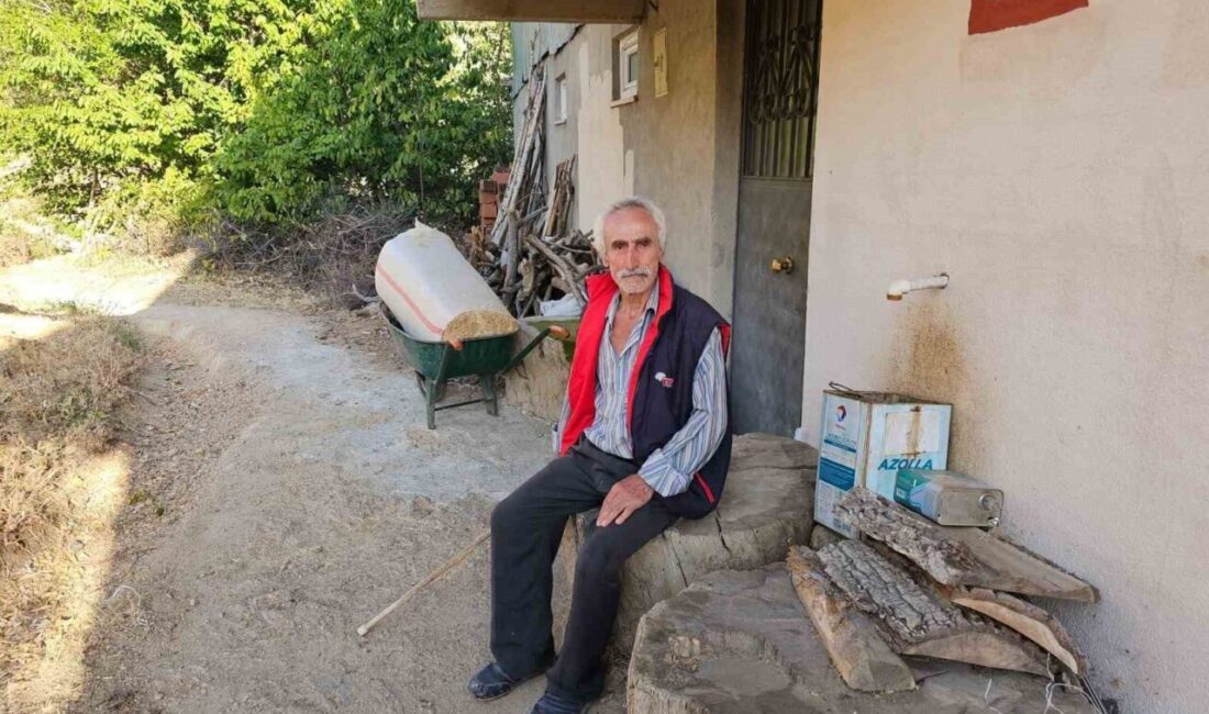 Erzurum’un İspir ilçesine bağlı Çamlıkaya Cebecili Mahallesi’nde yaşayan Mustafa Bozdemir,