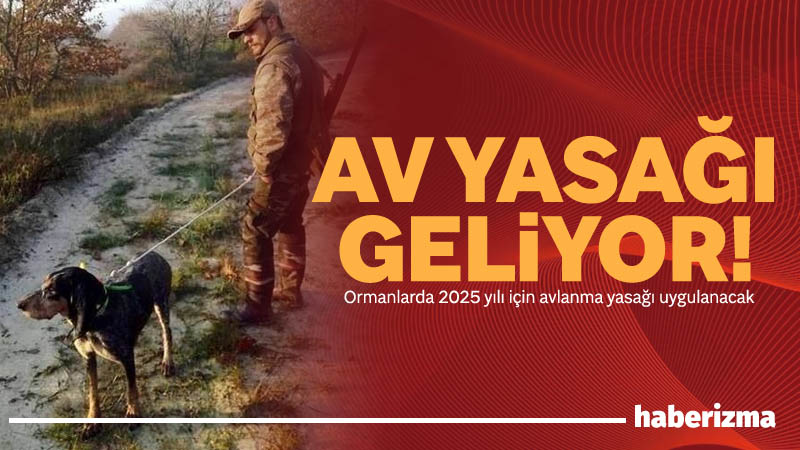 Tarım ve Orman Bakanı İbrahim Yumaklı, ormanlarda 2025 yılı için