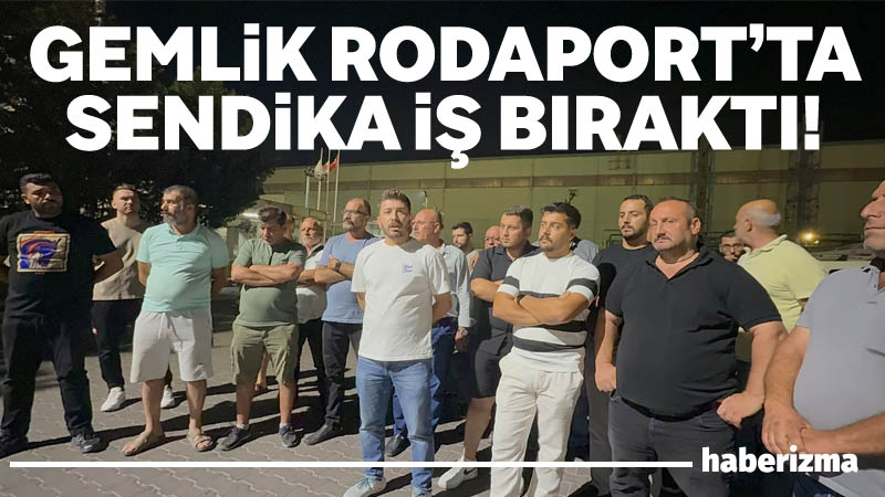 Liman İş Sendikası Gemlik Şube Başkanı Ahmet Göral ve sendika