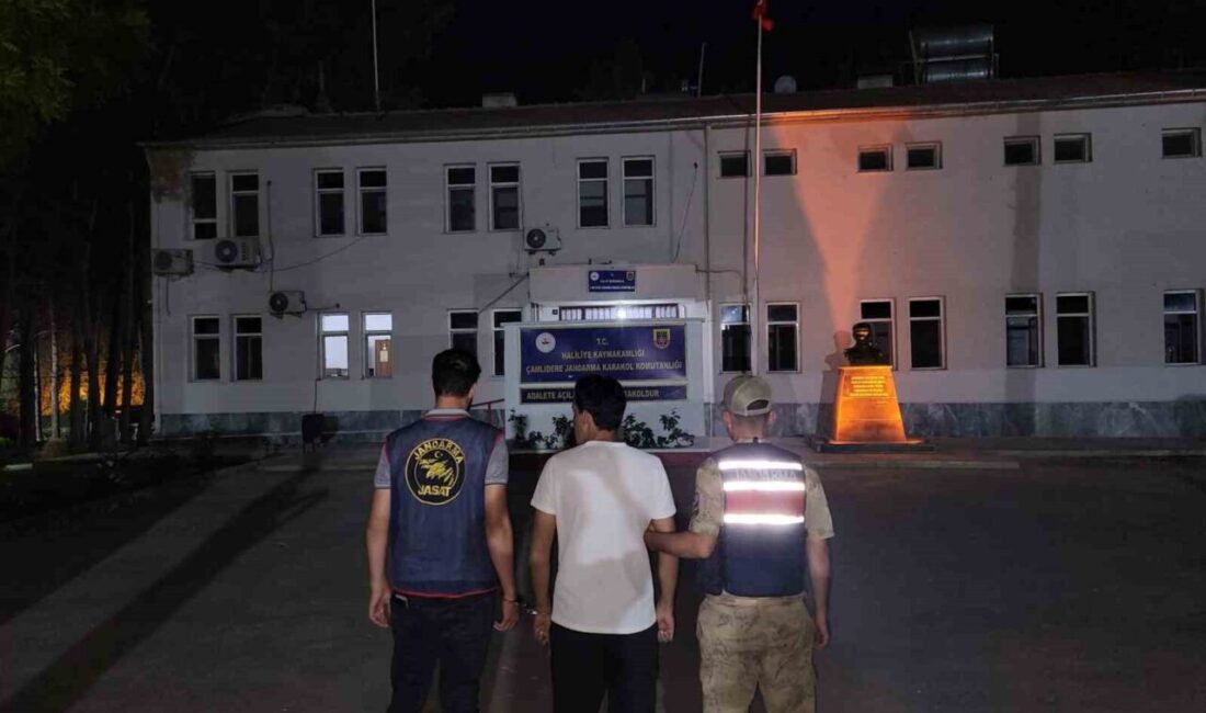 Şanlıurfa’da kasten öldürme, çocuğun kasten öldürmesi ve göçmen kaçakçılığı yapma