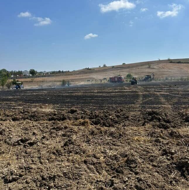 Sakarya’nın Kaynarca ilçesinde tarım arazisinde çıkan anız yangınında 20 dönümlük