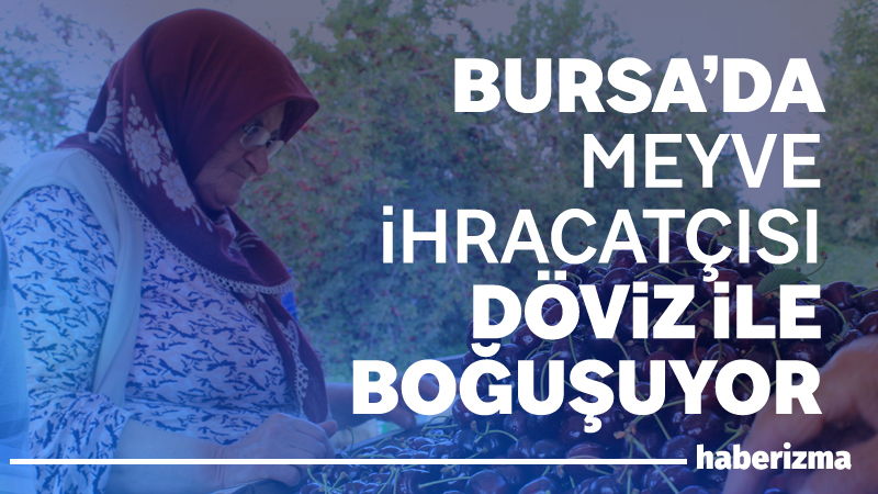 Yaş meyve ve sebze ihracatçıları, Avrupa pazarındaki rekabetçiliği tekrar kazanmak