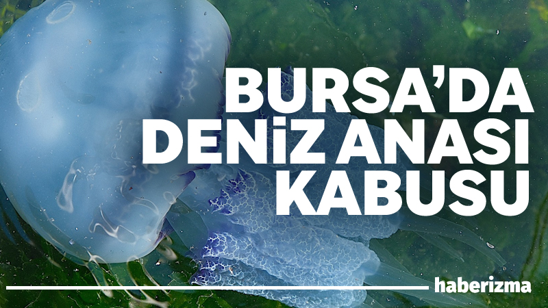 Son yıllarda müsilaj kabusuyla mücadele eden ve özellikle bu yıl