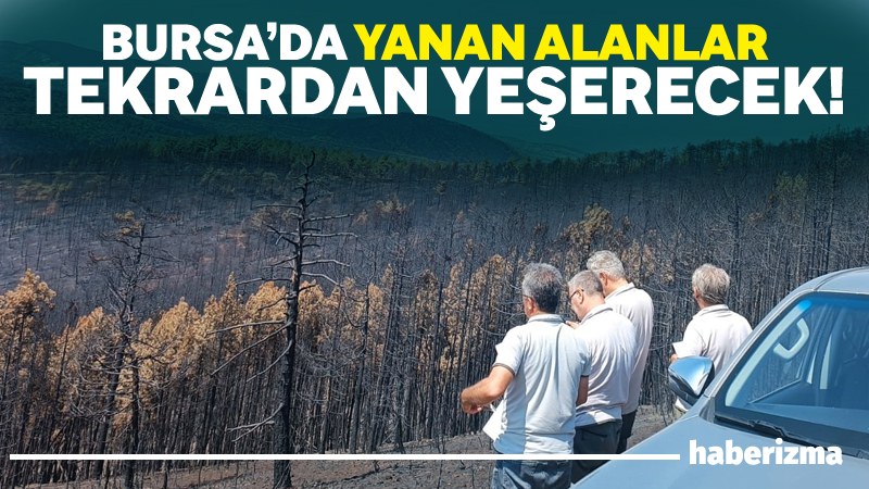 Bursa’nın Orhaneli ve Harmancık ilçelerinde yangın sonucu küle dönen yüzlerce