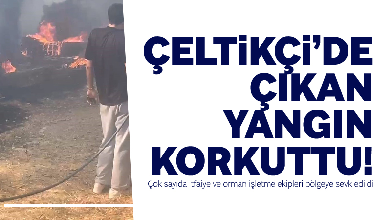 Bursa’nın İnegöl ilçesinde meydana gelen yangın korkuttu. Yangın, saat 15.00