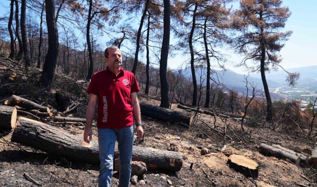 Gürsu Belediye Başkanı Mustafa Işık, orman yangını faciasıyla sarsılan ilçedeki