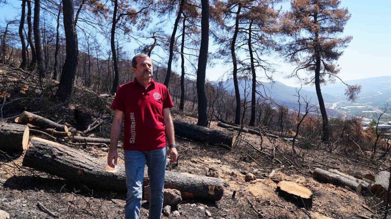 Gürsu Belediye Başkanı Mustafa Işık, orman yangını faciasıyla sarsılan ilçedeki