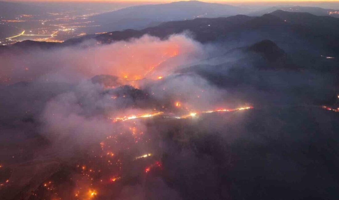 Denizli’nin Buldan ilçesi Çatak Mahallesi’nde 3 gün önce ormanlık alanda