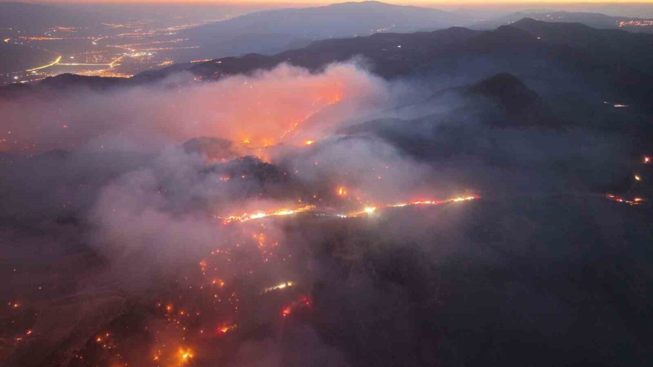Denizli’nin Buldan ilçesi Çatak Mahallesi’nde 3 gün önce ormanlık alanda
