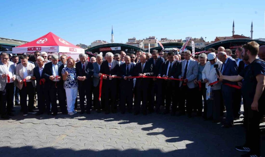 Kastamonu’nun Taşköprü ilçesinde bu yıl 35’incisi düzenlenen Uluslararası Taşköprü Kültür