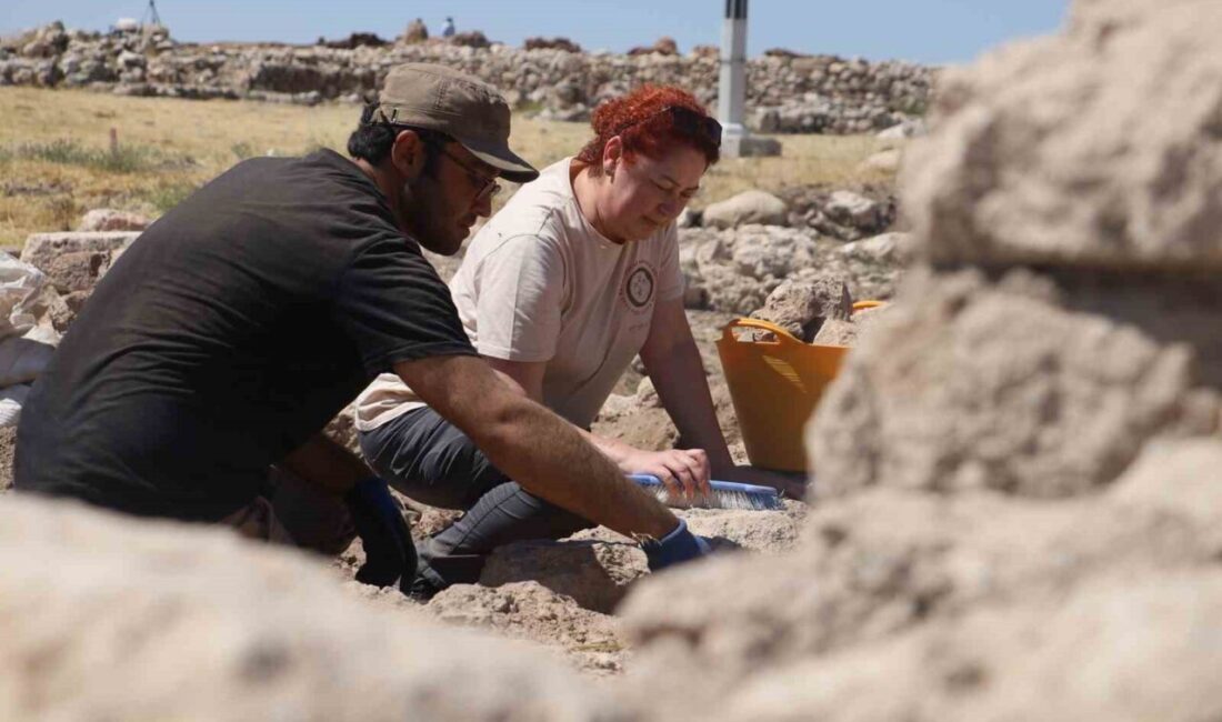 Sivas’ın Yıldızeli ilçesine bağlı Kayalıpınar köyünde, arkeolojik kazı çalışmalarının sürdüğü