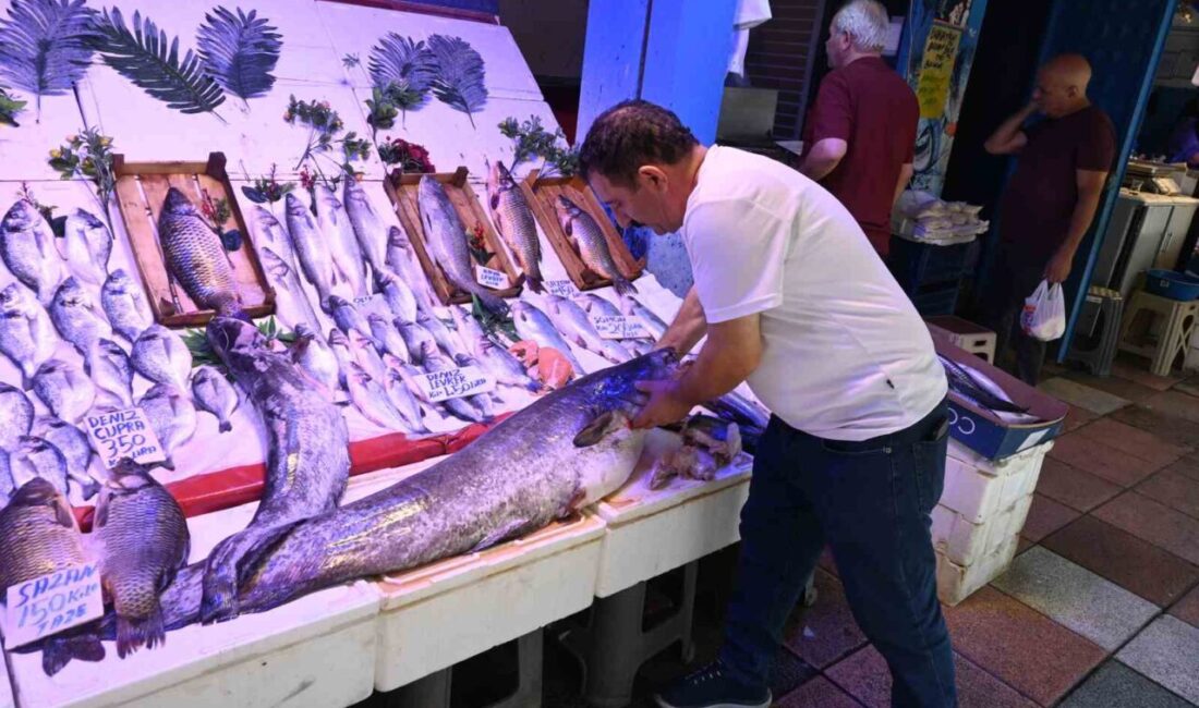 Eskişehir’de bir balıkçı tezgahında sergilenen 40 kiloluk yayın balığı ilgi