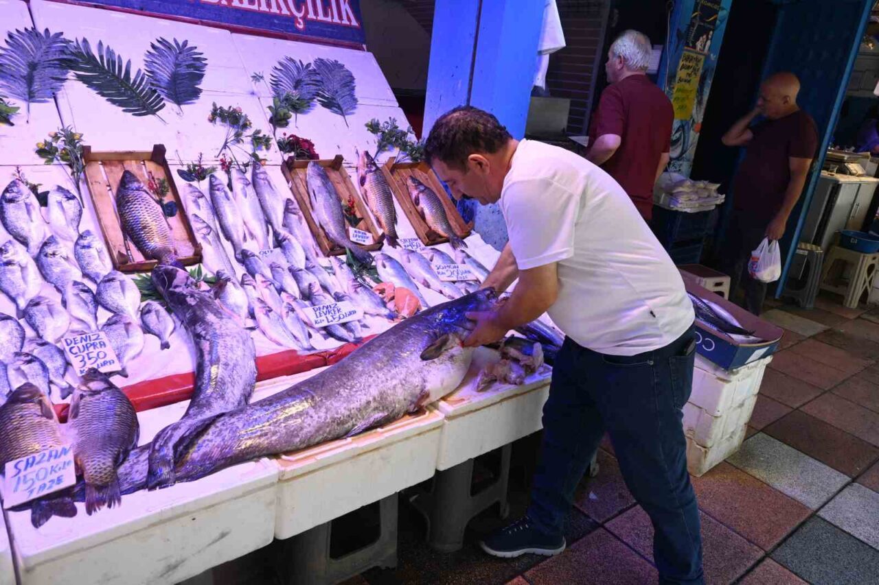 Eskişehir’de bir balıkçı tezgahında sergilenen 40 kiloluk yayın balığı ilgi