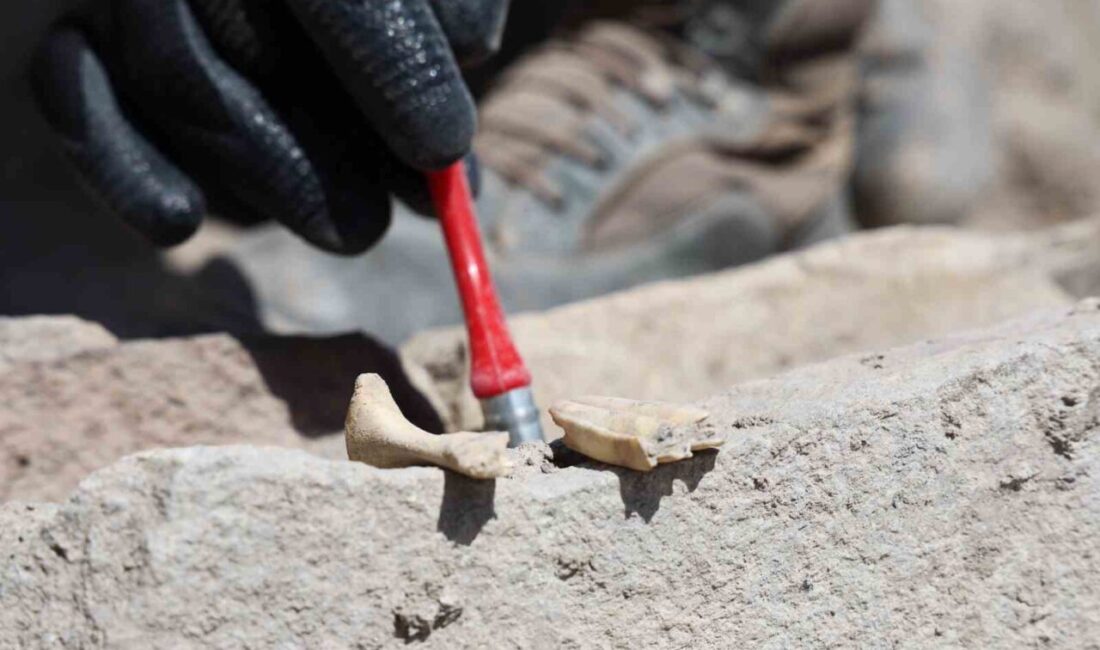 Tadım Kalesi’nde 6 bin yıllık tapınaktan sonra sunak çevresinde insan