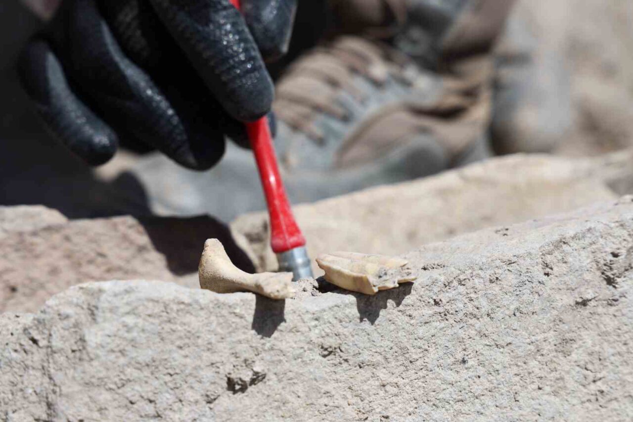 Tadım Kalesi’nde 6 bin yıllık tapınaktan sonra sunak çevresinde insan