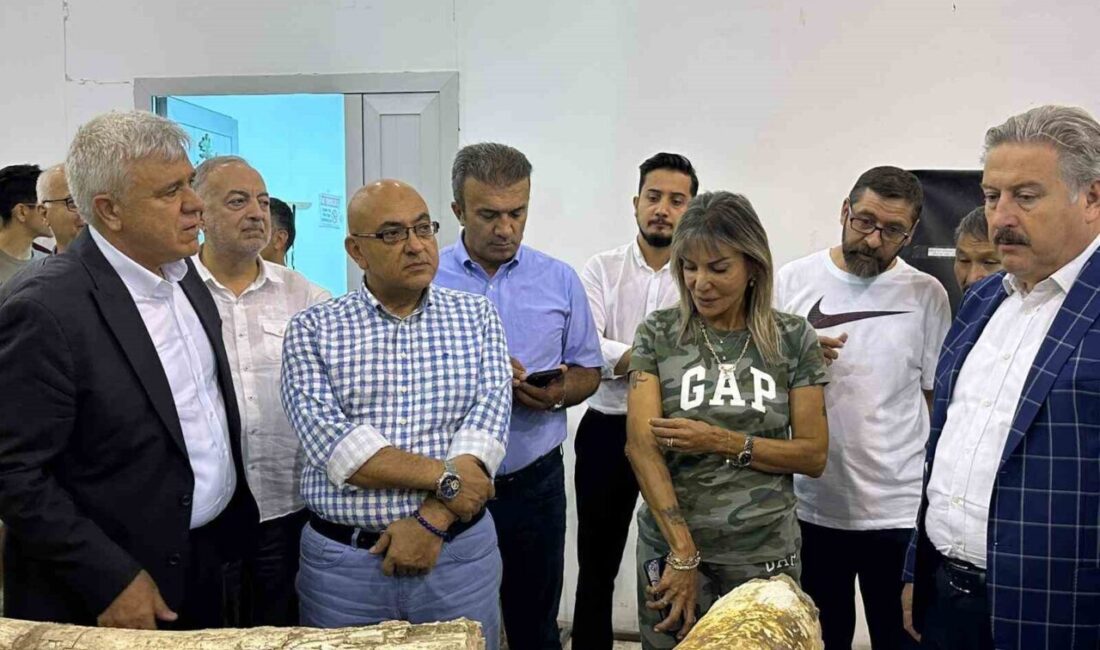 Kayseri Büyükşehir Belediyesi’nin desteğiyle Kayseri Kent Konseyi tarafından düzenlenen ’Fosil