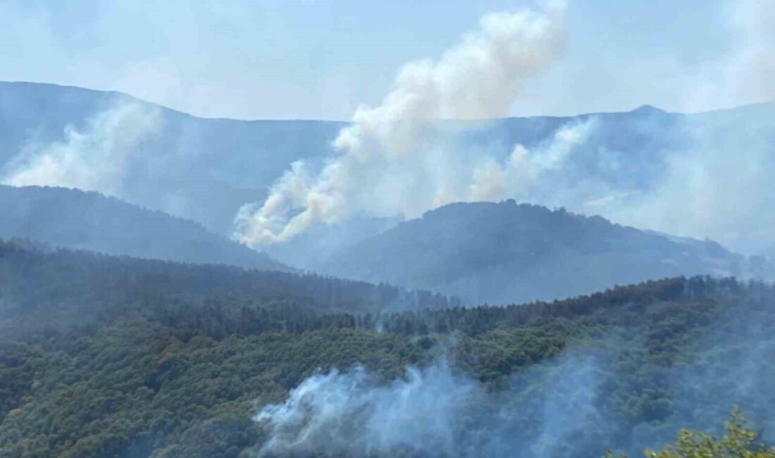 Kocaeli’nin Karamürsel ilçesinde çıkan orman yangınına müdahale devam ediyor. 963