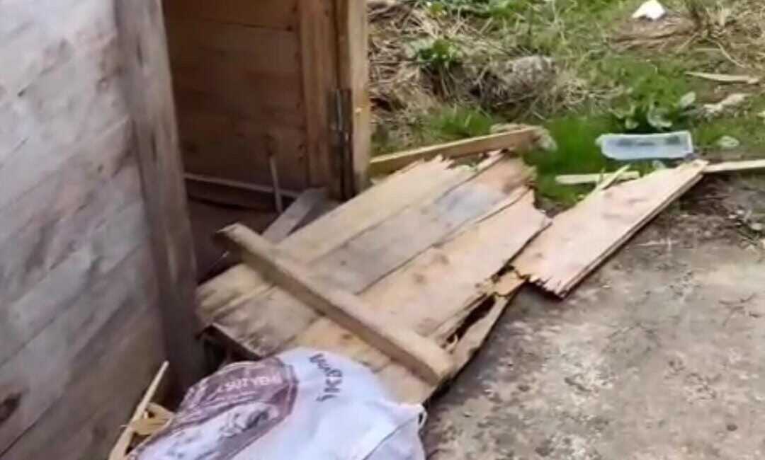 Aç kalan ayılar yayla evlerinden sonra turistlerin konakladığı bungalovlara dadandı Rize’nin Huser Yaylası ve Ayder Yaylası’nda aç kalan ayılar yayla