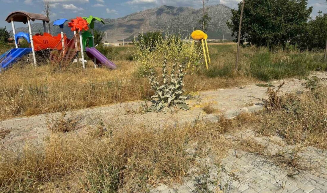 DENİZLİ (İHA) – Denizli’nin Acıpayam ilçesinde parkların bakımsızlıktan çöplüğe döndüğünü,