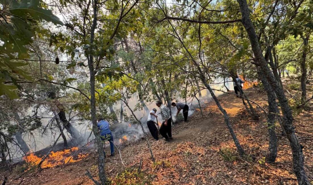 Adana’nın Feke ilçesi sınırlarında orman yangını çıktı, ekipler havadan ve