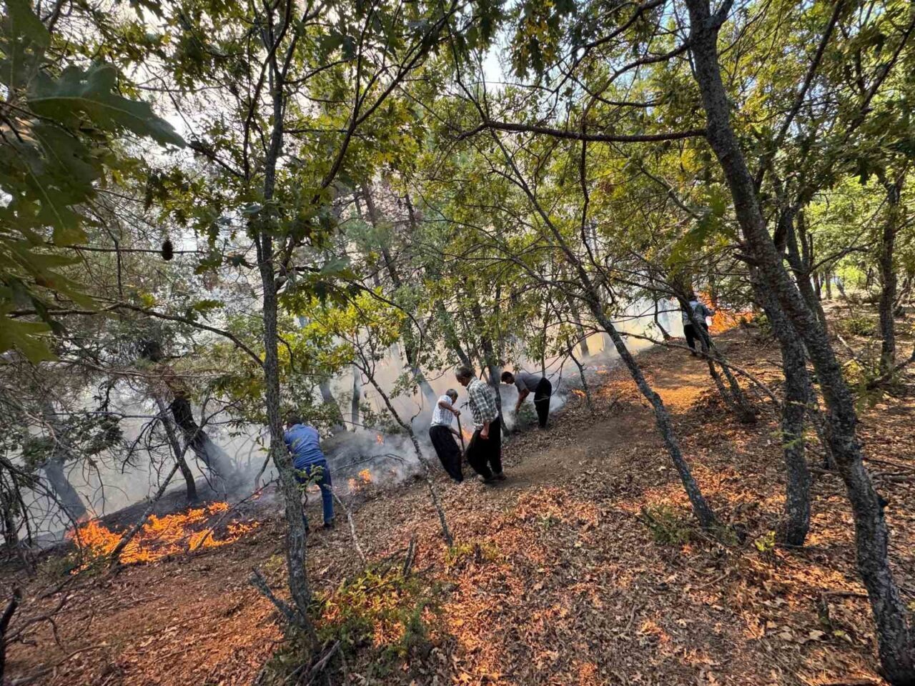 Adana’nın Feke ilçesi sınırlarında orman yangını çıktı, ekipler havadan ve