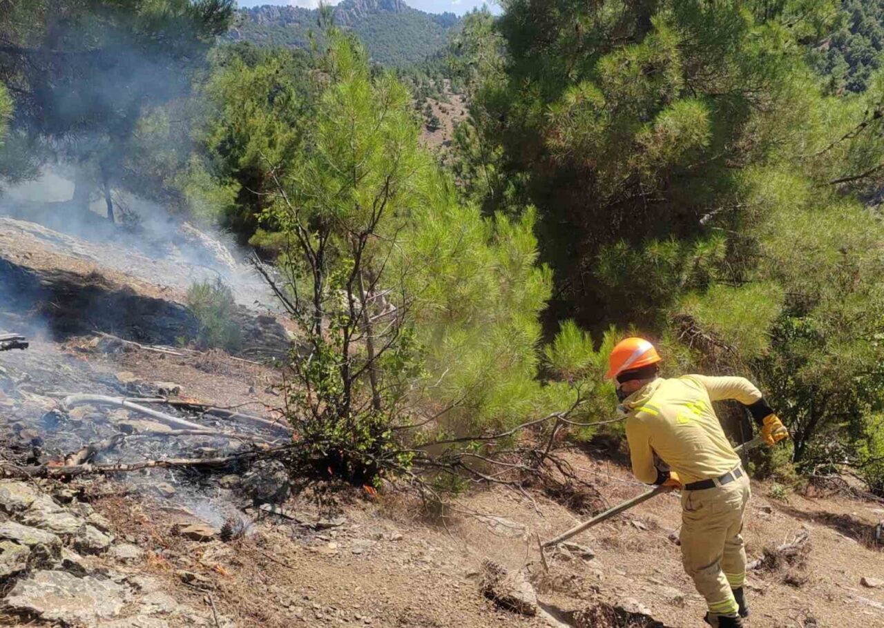 Adana’nın Feke ilçesi sınırlarında çıkan orman yangını ekiplerin havadan ve
