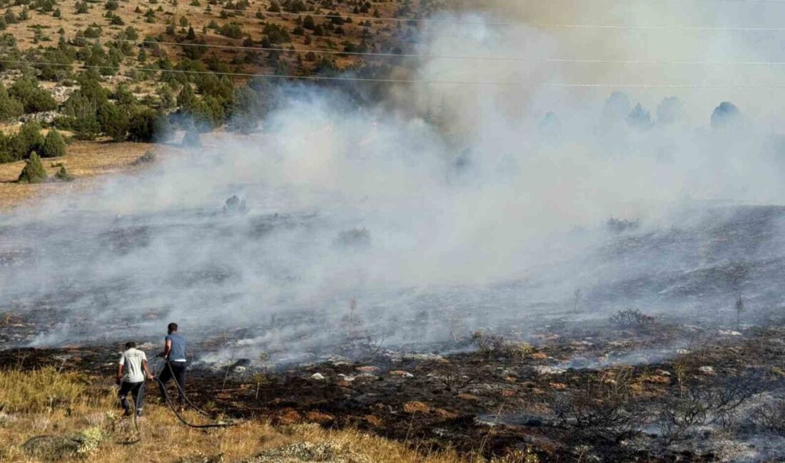 Adana’nın Tufanbeyli ilçesinde anız yangını ormanlık alana sıçradı. Yangının kontrol