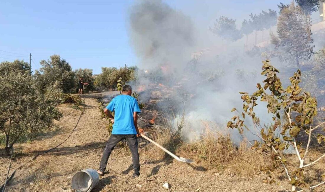Adana’da evlere yakın ağaçlık alanda çıkan yangın paniğe sebep oldu.