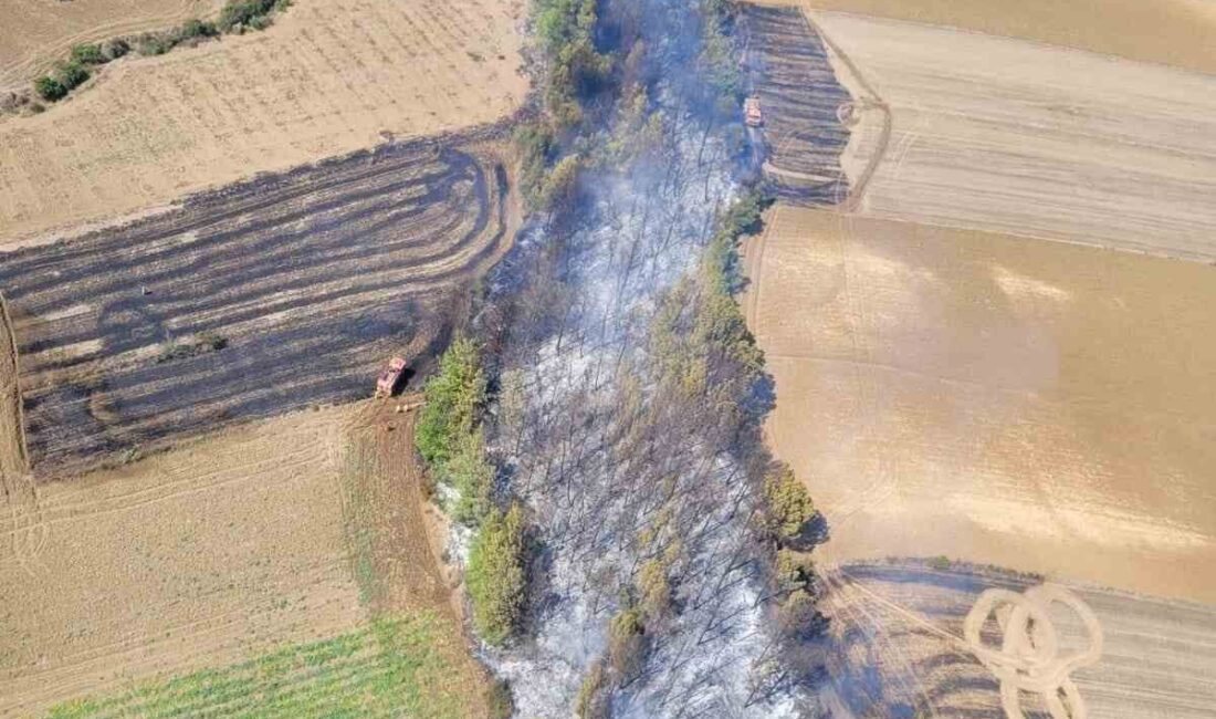Adana’nın Karaisalı ilçesinde çıkan orman yangını kısa sürede kontrol altına