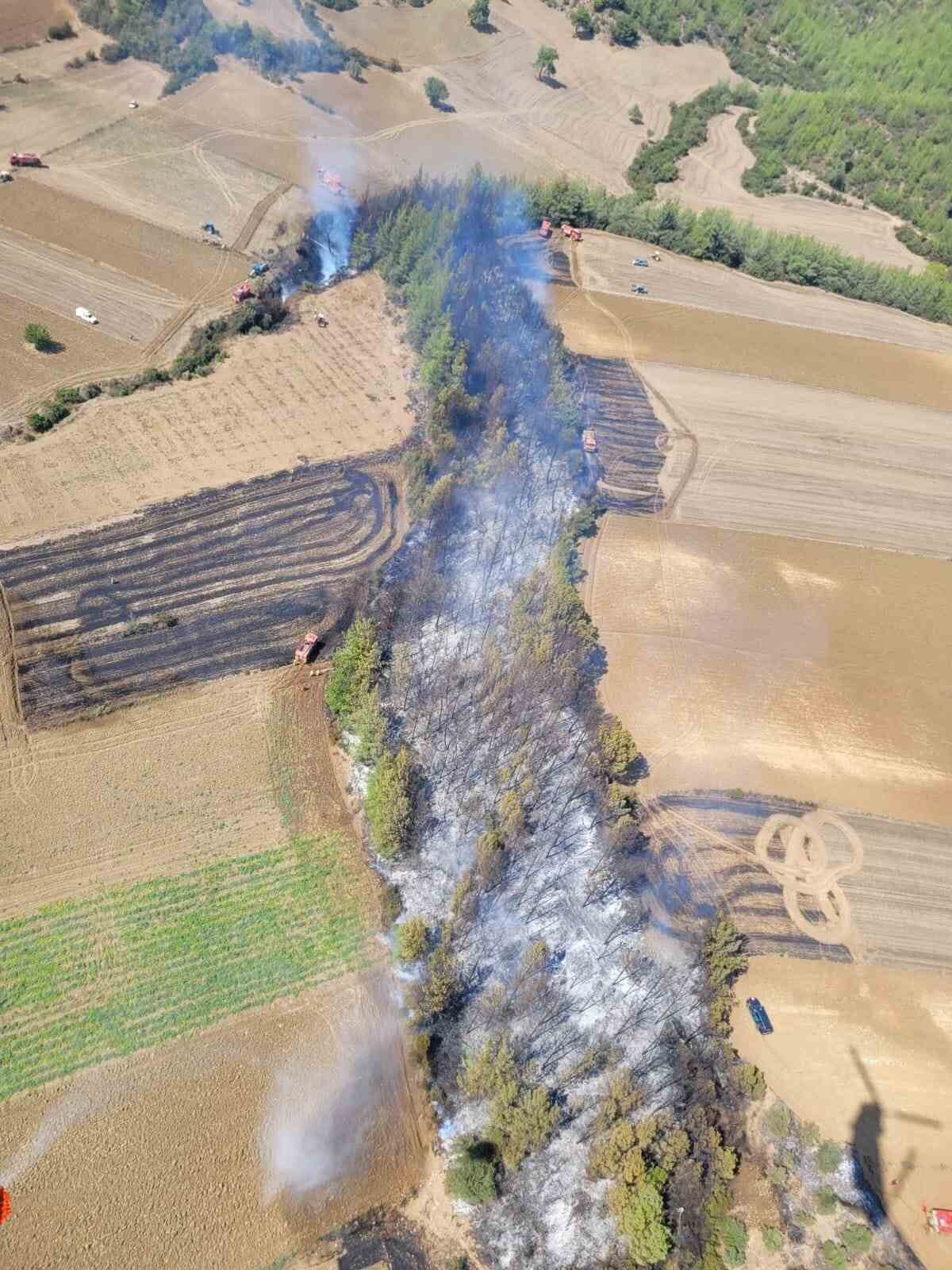 Adana’nın Karaisalı ilçesinde çıkan orman yangını kısa sürede kontrol altına