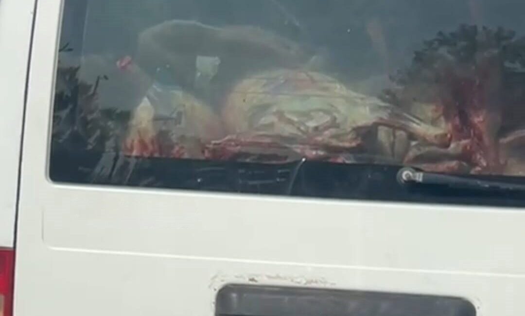 Adana’da panelvan bir aracın arkasına konularak hijyen kurallarına aykırı olarak