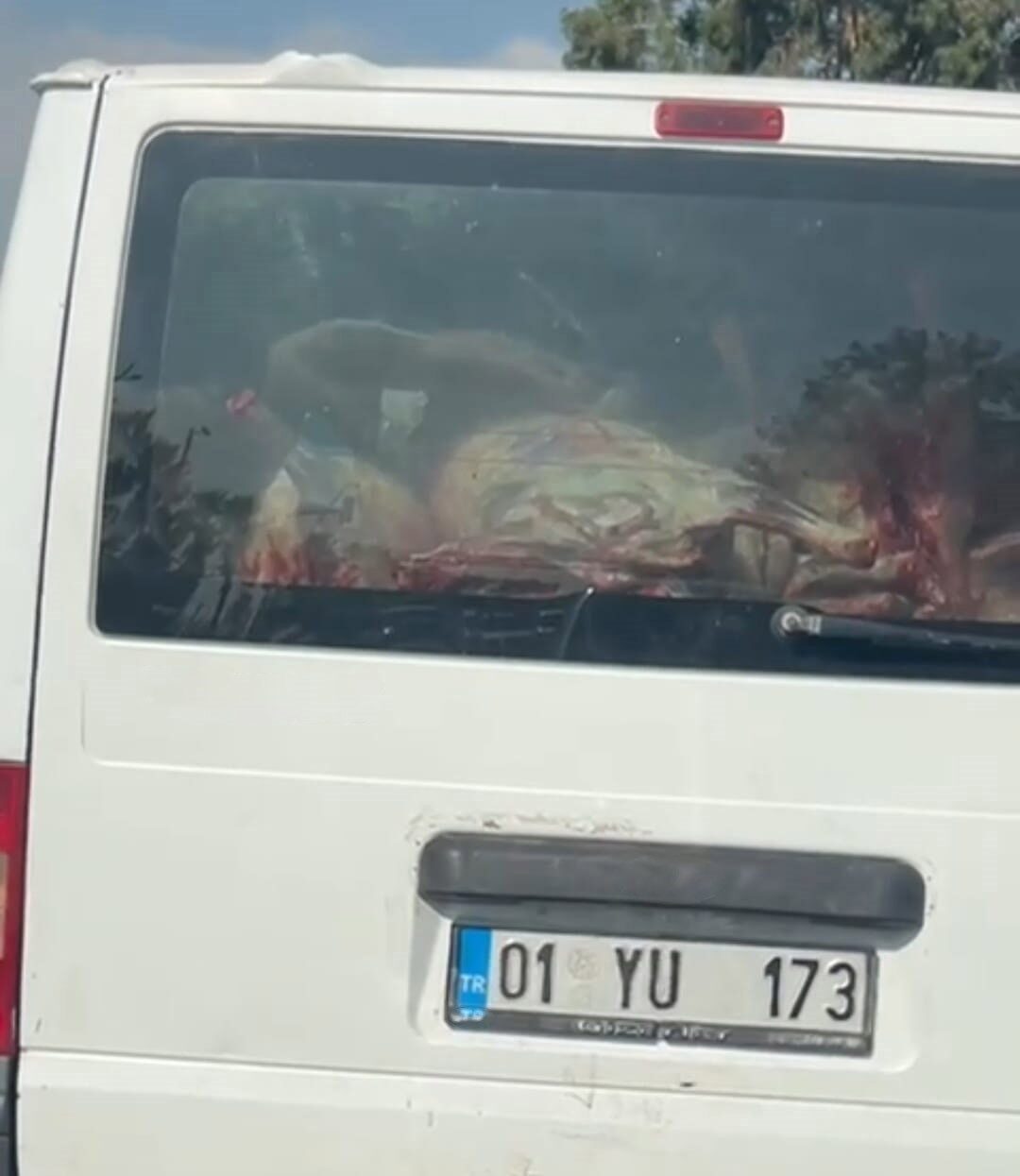 Adana’da panelvan bir aracın arkasına konularak hijyen kurallarına aykırı olarak