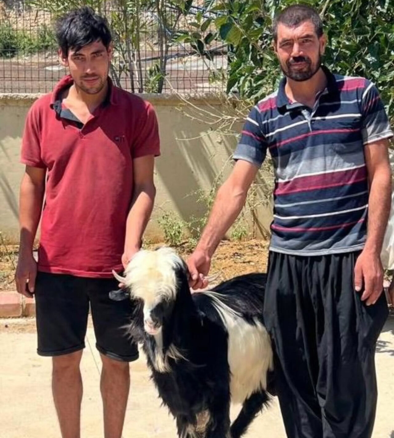 Adana’nın Kozan ilçesinde jandarma ekipleri, keçi çalan 2 şüpheliyi yakaladı.