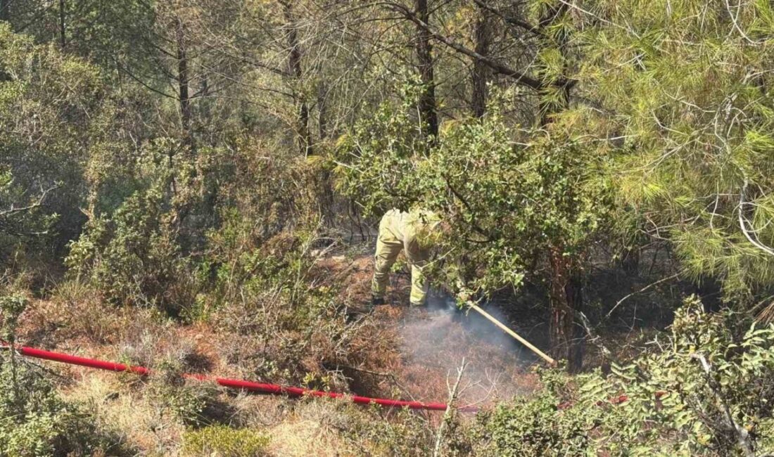 Adana’nın Sarıçam ilçesinde çıkan orman yangını, ekiplerin havadan ve karadan