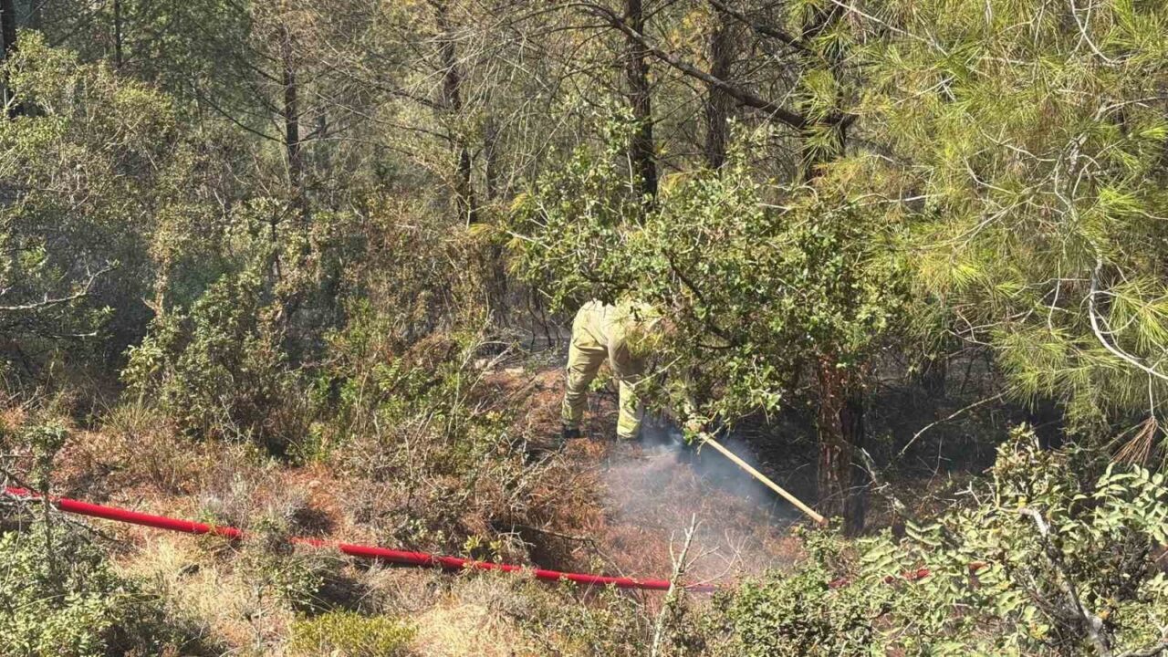 Adana’nın Sarıçam ilçesinde çıkan orman yangını, ekiplerin havadan ve karadan
