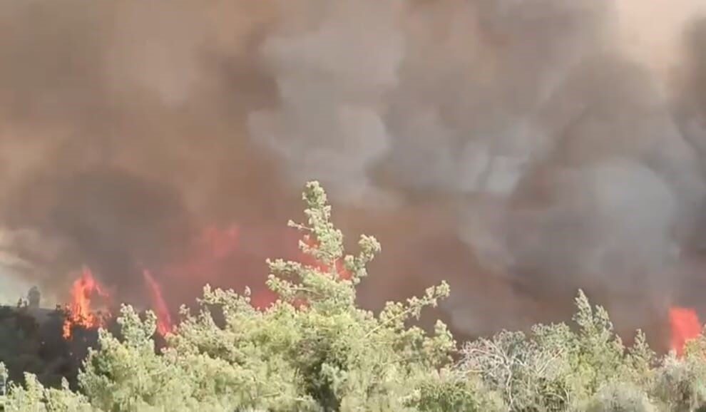 Adana’nın İmamoğlu ilçesinde ormanlık alanda yangın çıktı. Adana’nın İmamoğlu ilçesi
