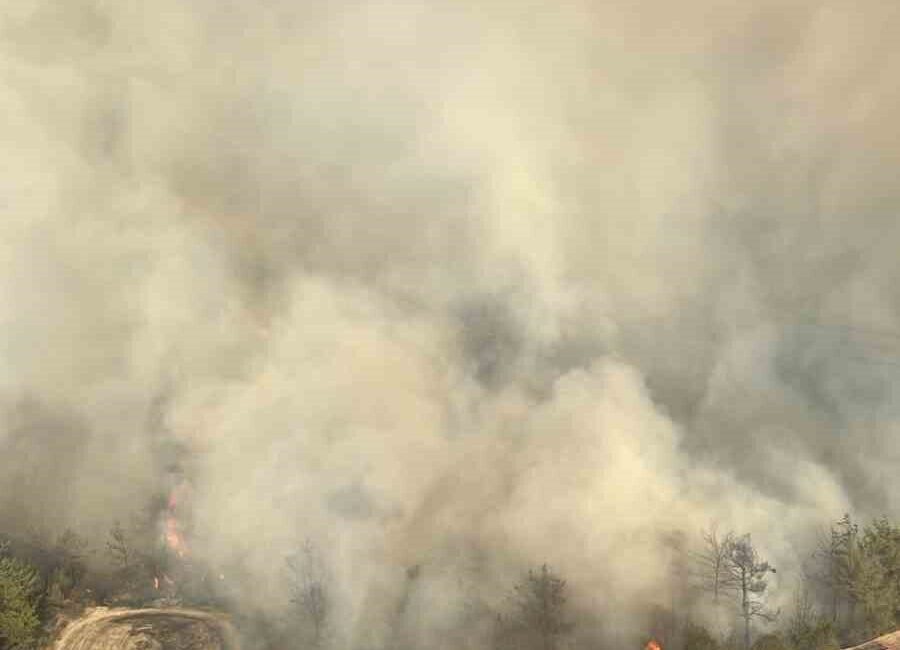 Adana’nın İmamoğlu ilçesinde çıkan orman yangınına kara ekiplerinin yanı sıra