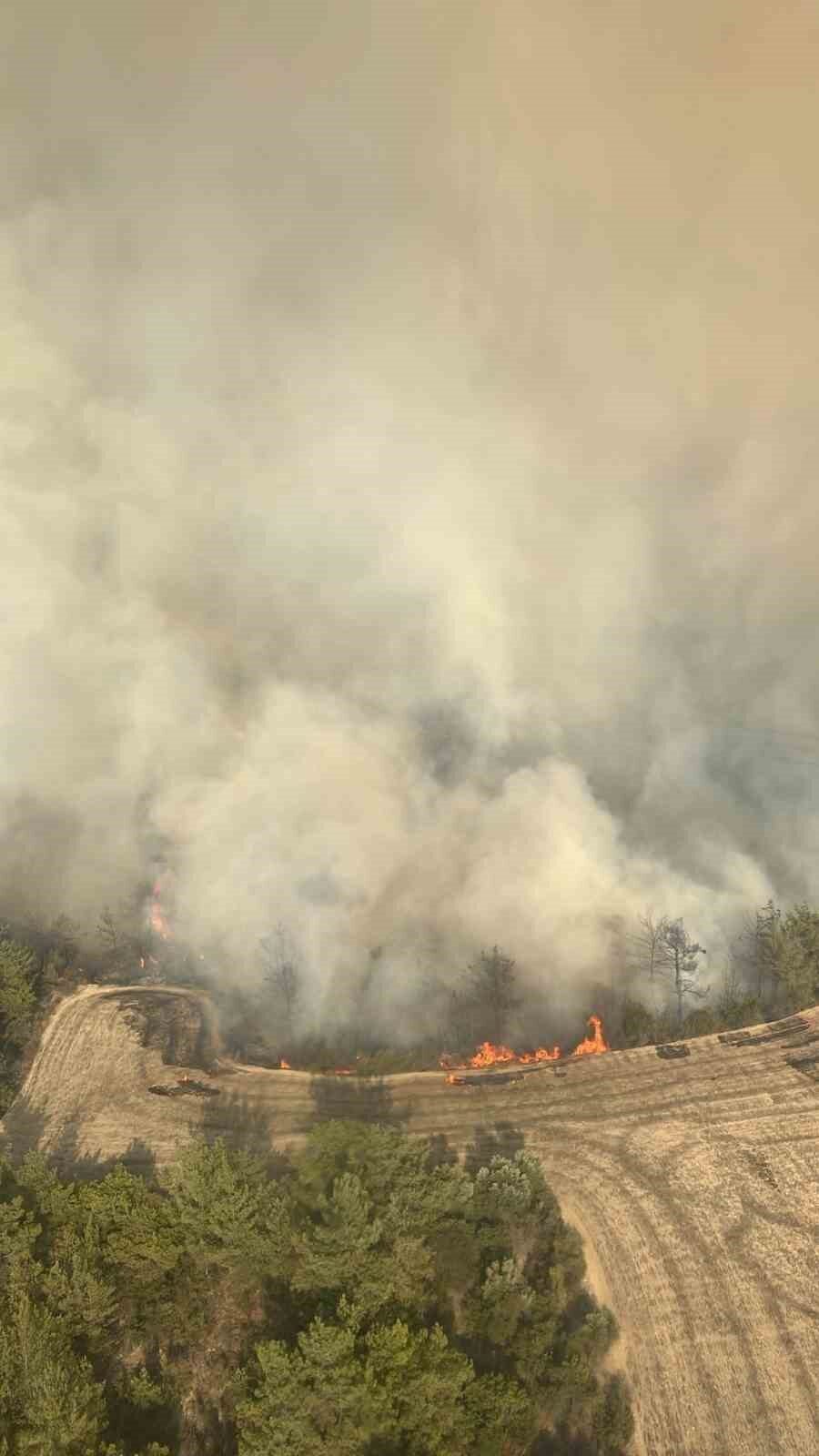 Adana’nın İmamoğlu ilçesinde çıkan orman yangınına kara ekiplerinin yanı sıra