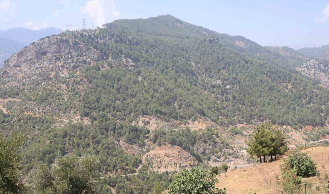 Adana’nın Kozan ilçesinde 2021 yılında 4 gün süren orman yangınında