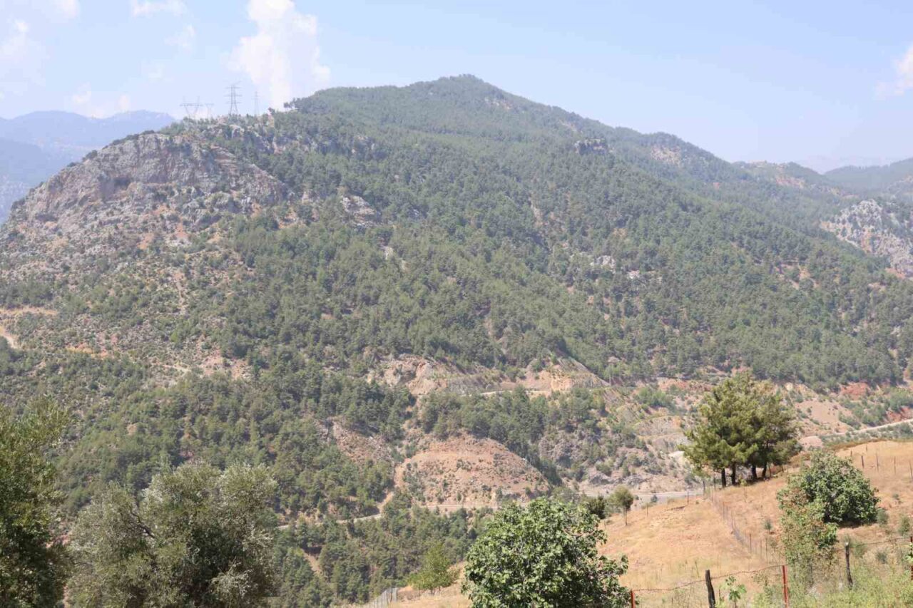 Adana’nın Kozan ilçesinde 2021 yılında 4 gün süren orman yangınında